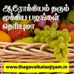 ஆரோக்கியம் தரும் முக்கிய பழங்கள் தெரியுமா