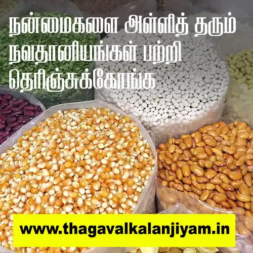 நன்மைகளை அள்ளித் தரும் நவதானியங்கள் பற்றி தெரிஞ்சுக்கோங்க